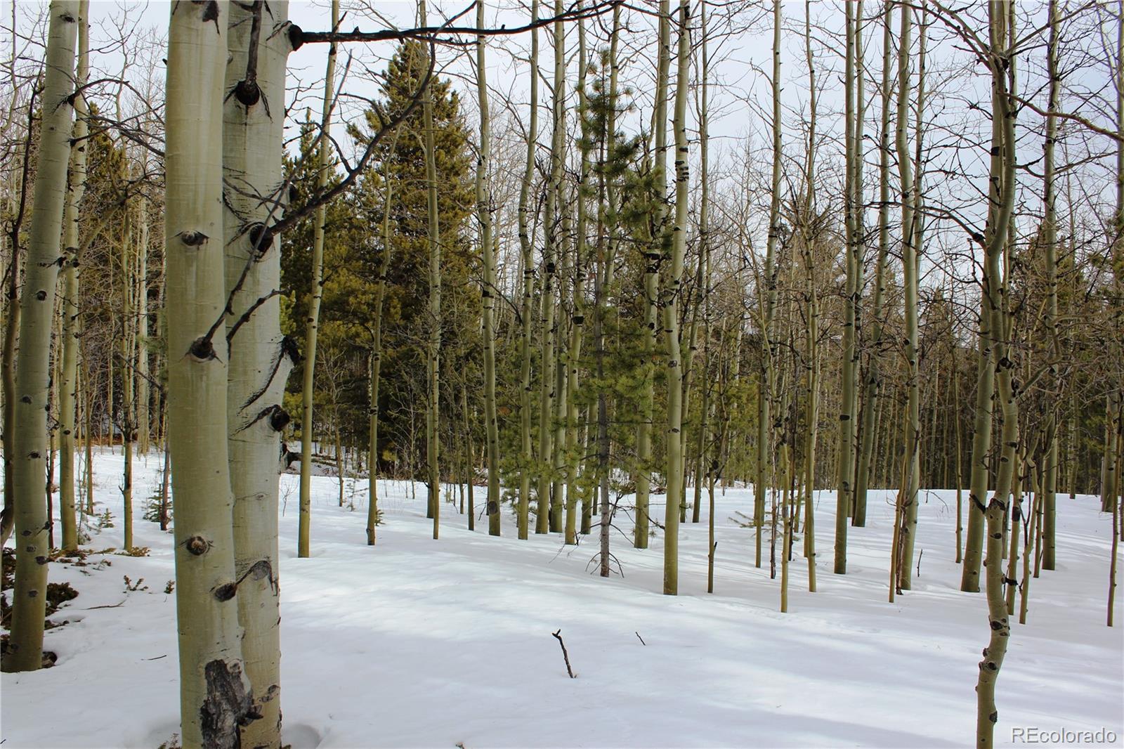 0 Miners Mesa Road Black Hawk, CO 80422 - Photo 6 of 11