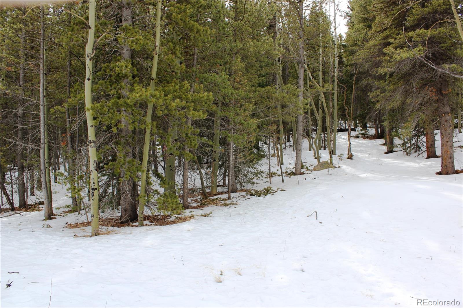 0 Miners Mesa Road Black Hawk, CO 80422 - Photo 7 of 11 a view of outdoor space with trees