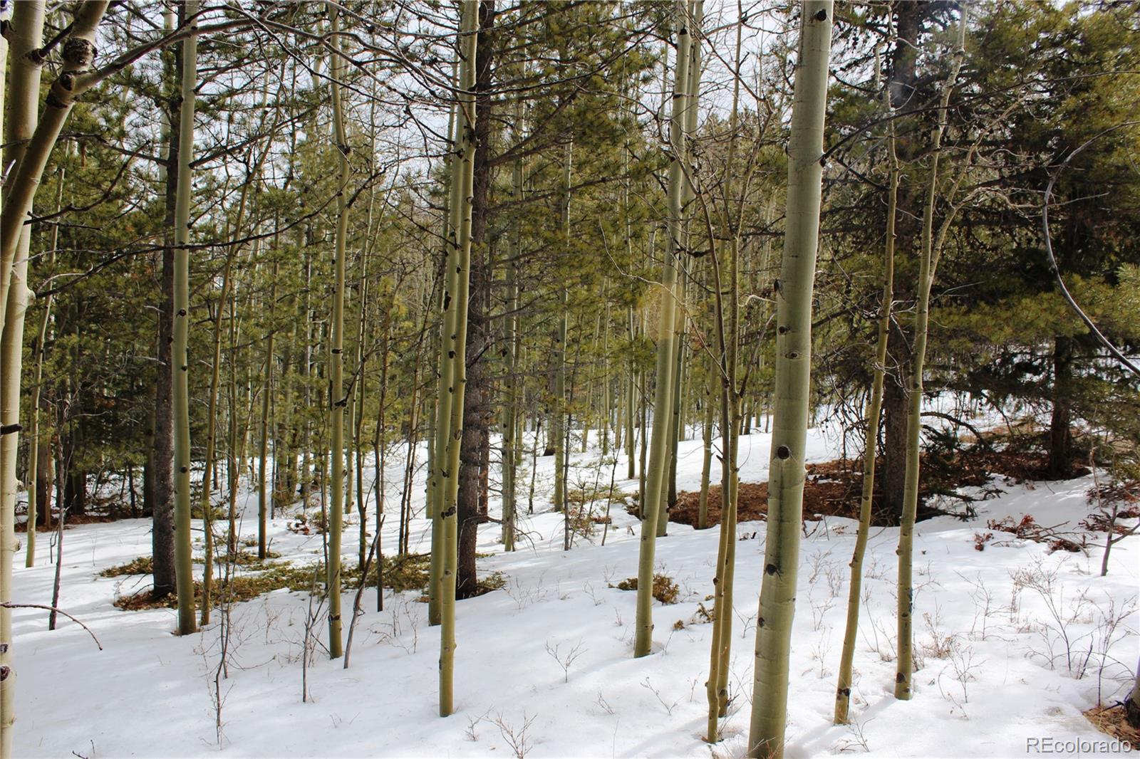 0 Miners Mesa Road Black Hawk, CO 80422 - Photo 8 of 11 a view of outdoor space with seating area