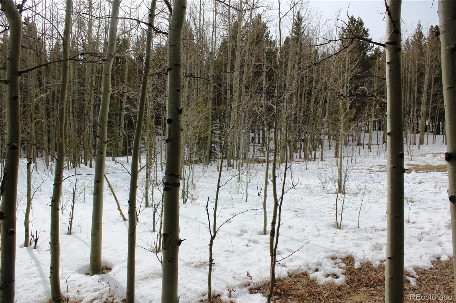 0 Miners Mesa Road Black Hawk, CO 80422 - Photo 9 of 11 a view of outdoor space with seating area