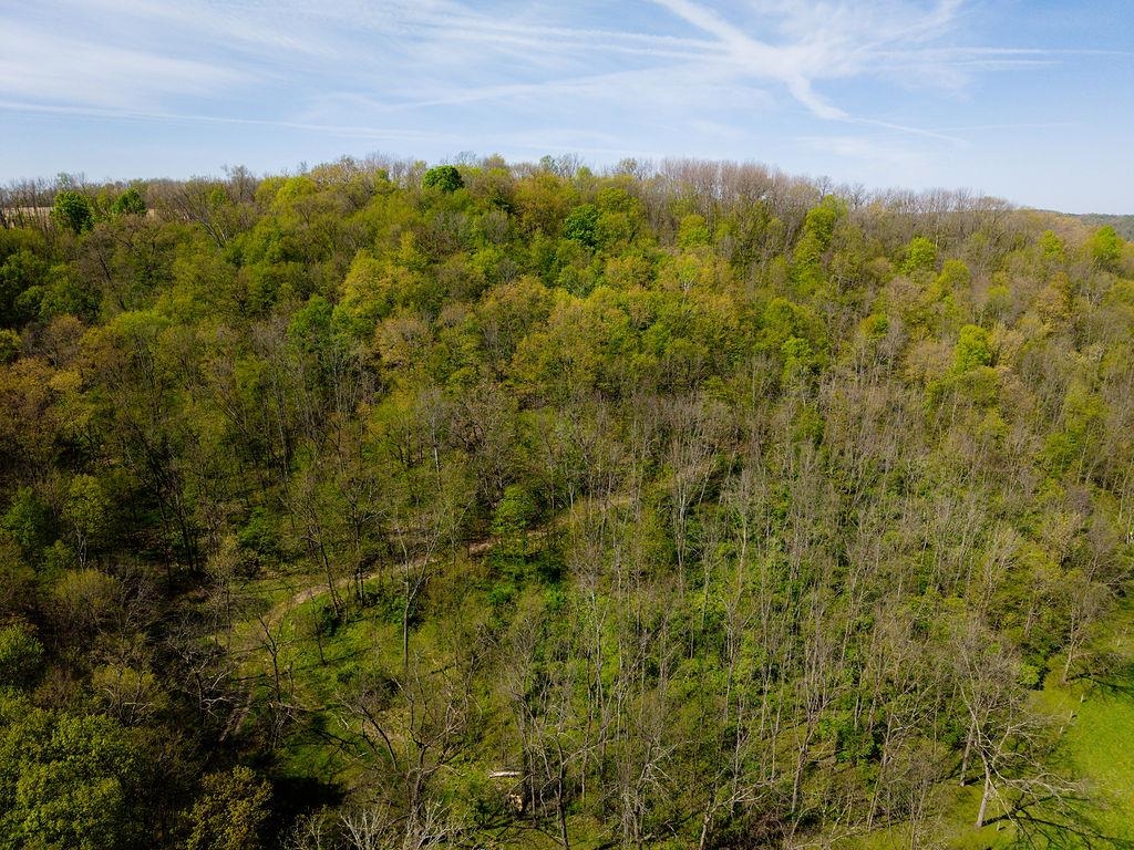 17797 Dayton Ridge Road Muscoda, WI 53573 - Photo 28 of 75