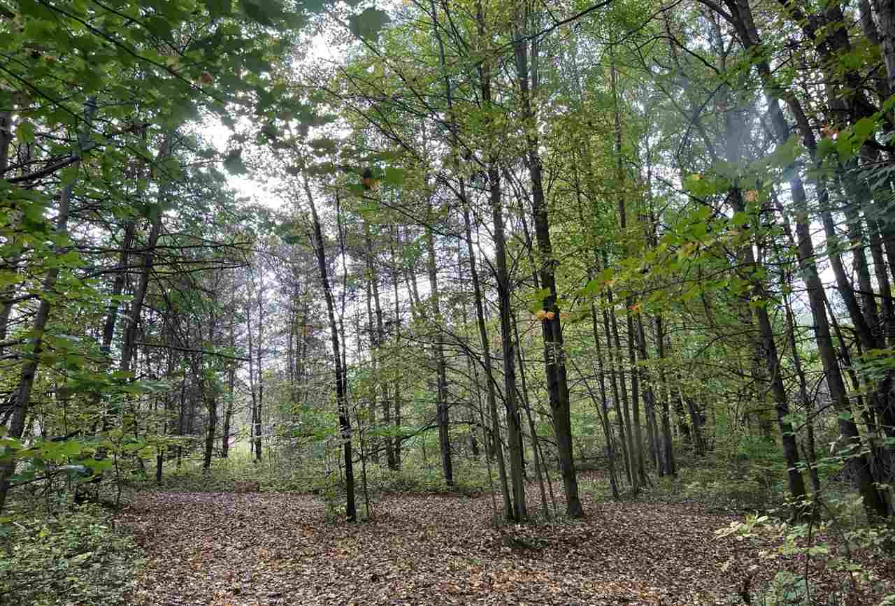 10273 East Stanley Road Davison, MI 48423 - Photo 69 of 76