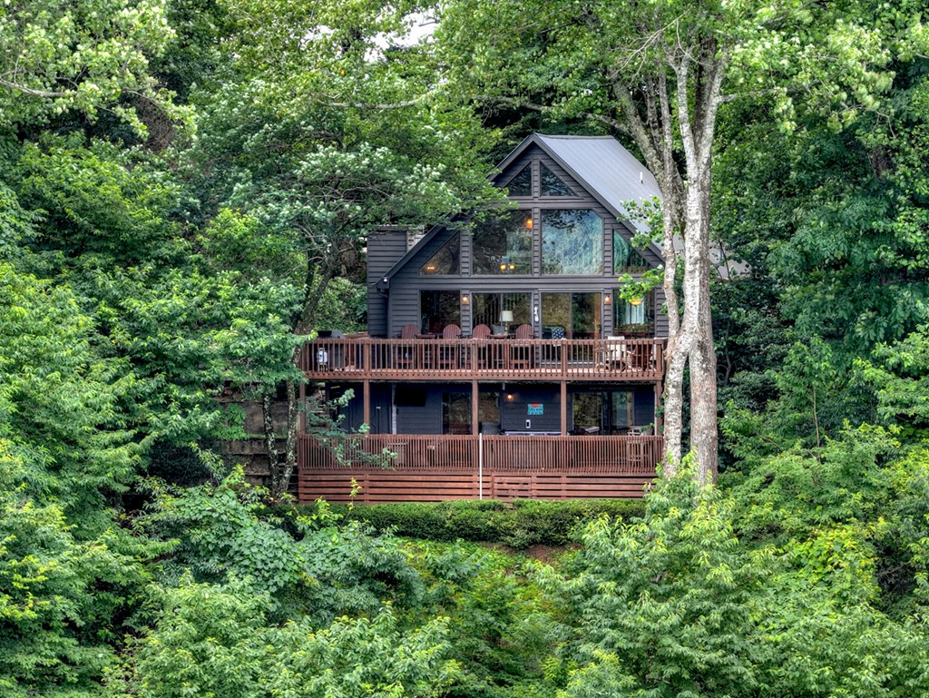 161 Walnut Ridge Ellijay, GA 30536 - Photo 50 of 66