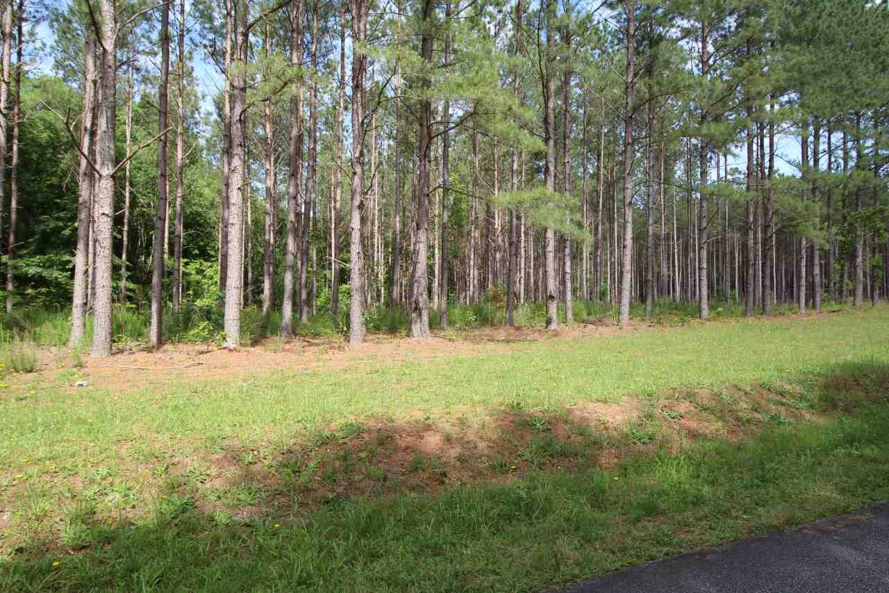 0 Babe Wood Road Greer, SC 29650 - Photo 3 of 7 Gallery Image 3