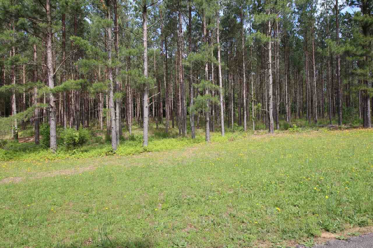 0 Babe Wood Road Greer, SC 29650 - Photo 5 of 7 Gallery Image 5