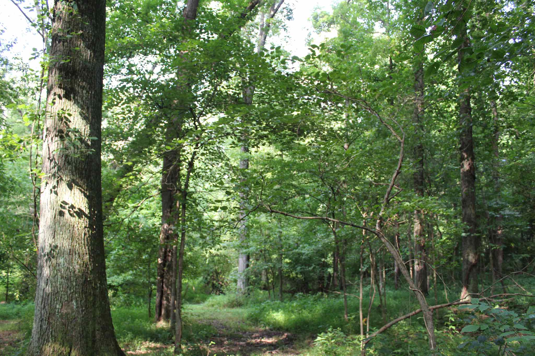 2855 Lashbrook Road Boonville, IN 47601 - Photo 23 of 35 Gallery Image 23