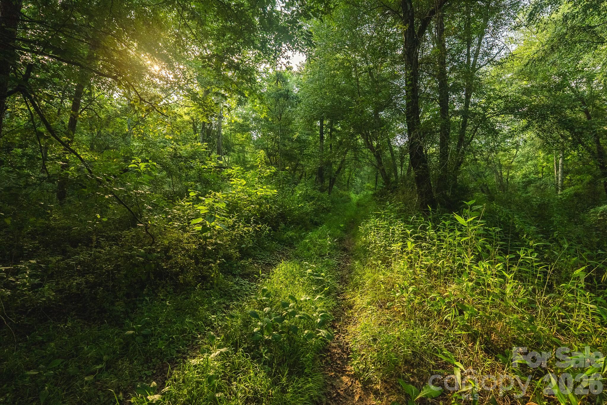 Tbd Sandbar Road Granite Falls, NC 28630 - Photo 41 of 43