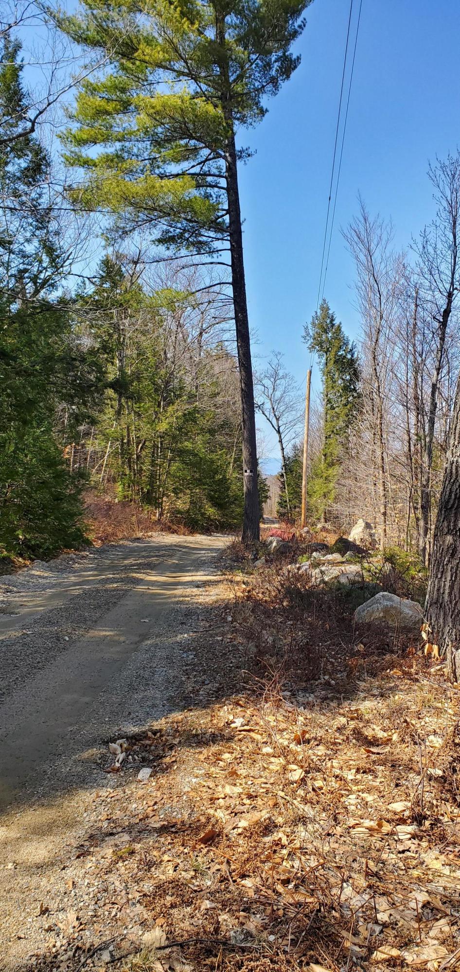 Lot 8-4 Golf Course Way Denmark, ME 04022 - Photo 1 of 3 20210404_141051