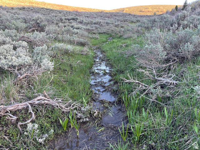 200 Mill Farm Road Montpelier, ID 83254 - Photo 41 of 47 View of local wilderness