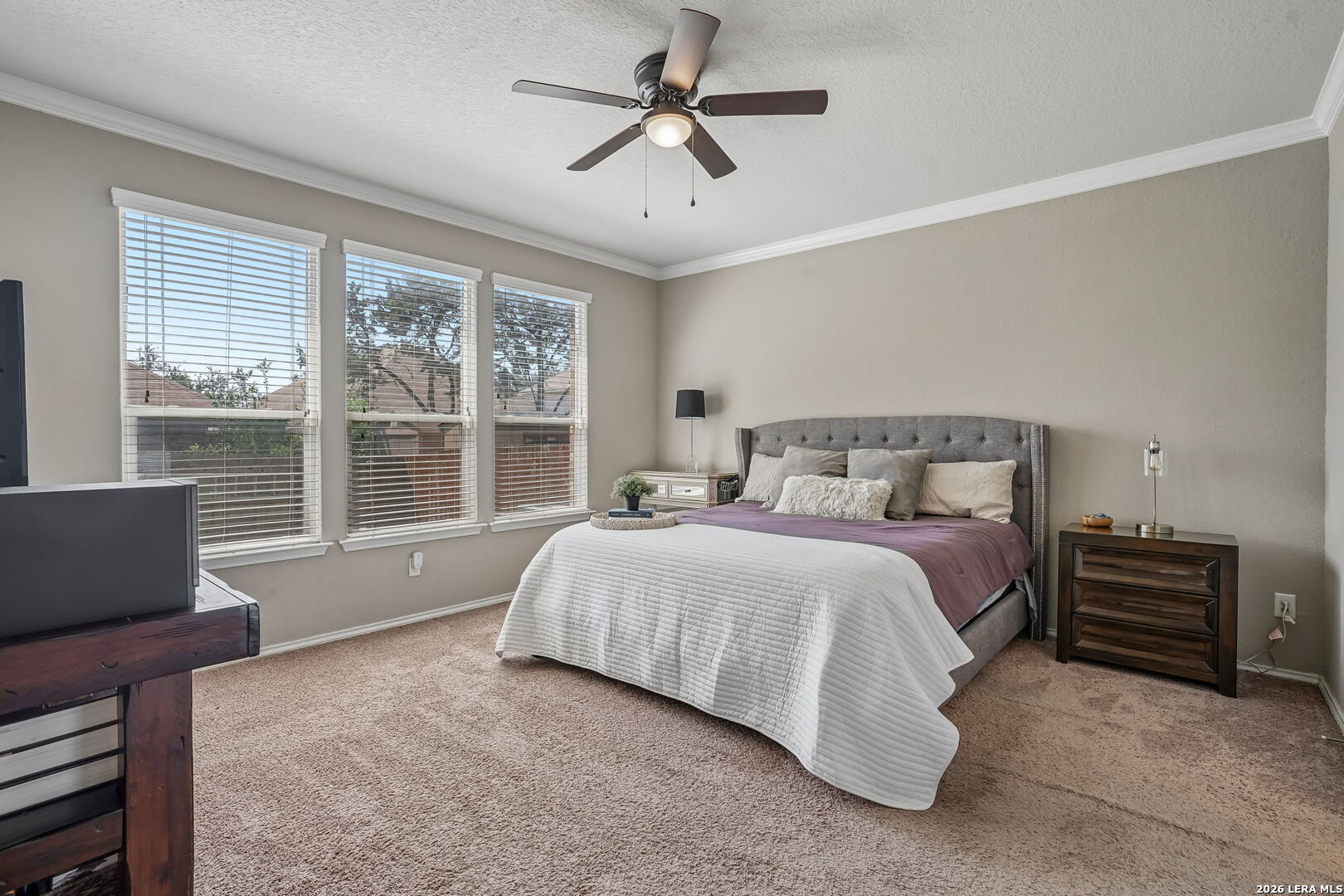 10858 Red Sage Helotes, TX 78023 - Photo 24 of 62