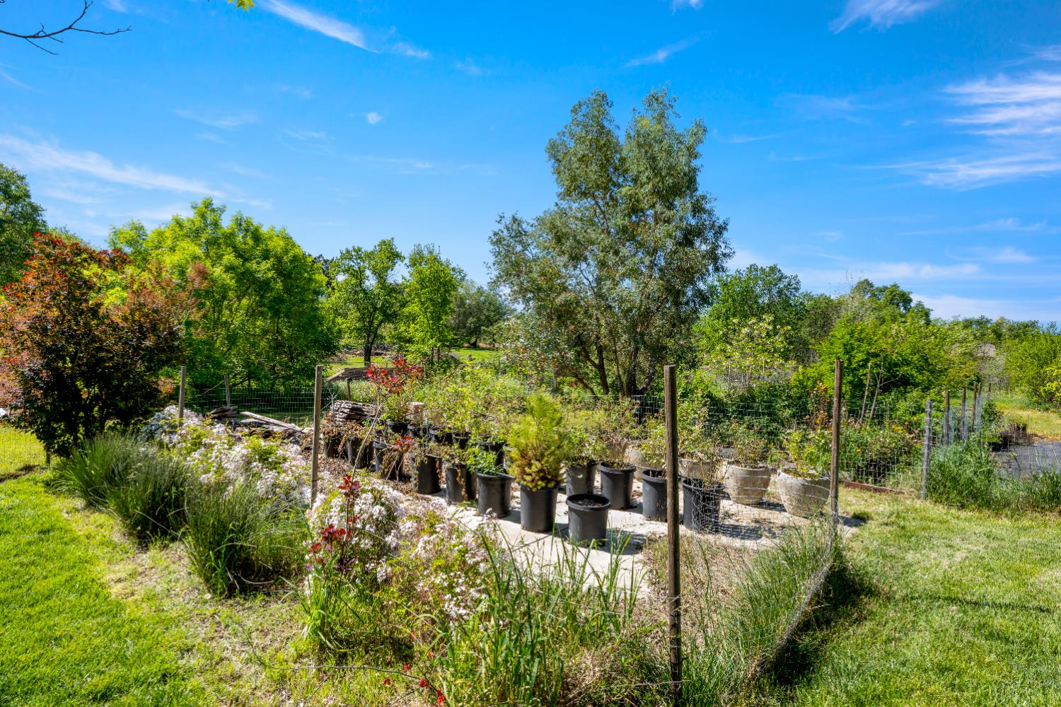 3934 Happy Road Loomis, CA 95650 - Photo 49 of 62