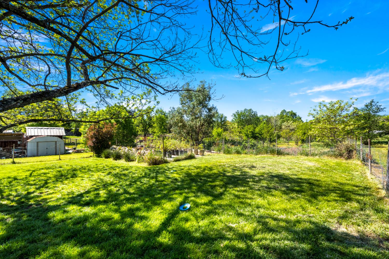3934 Happy Road Loomis, CA 95650 - Photo 50 of 62