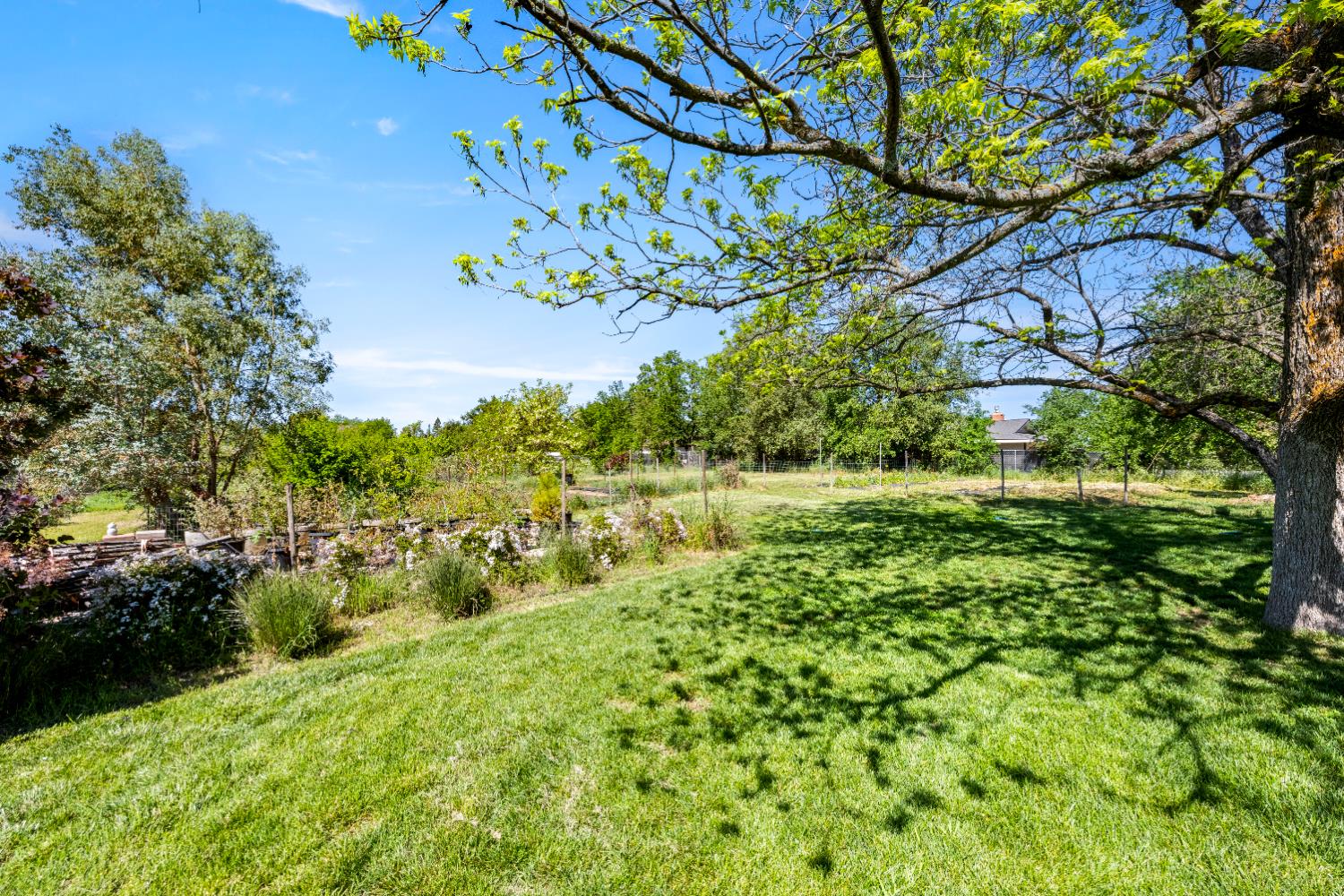3934 Happy Road Loomis, CA 95650 - Photo 52 of 62