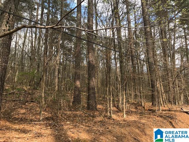 8607 Zuber Road, Unit 22 65 ACRES Springville, AL 35146 - Photo 5 of 9