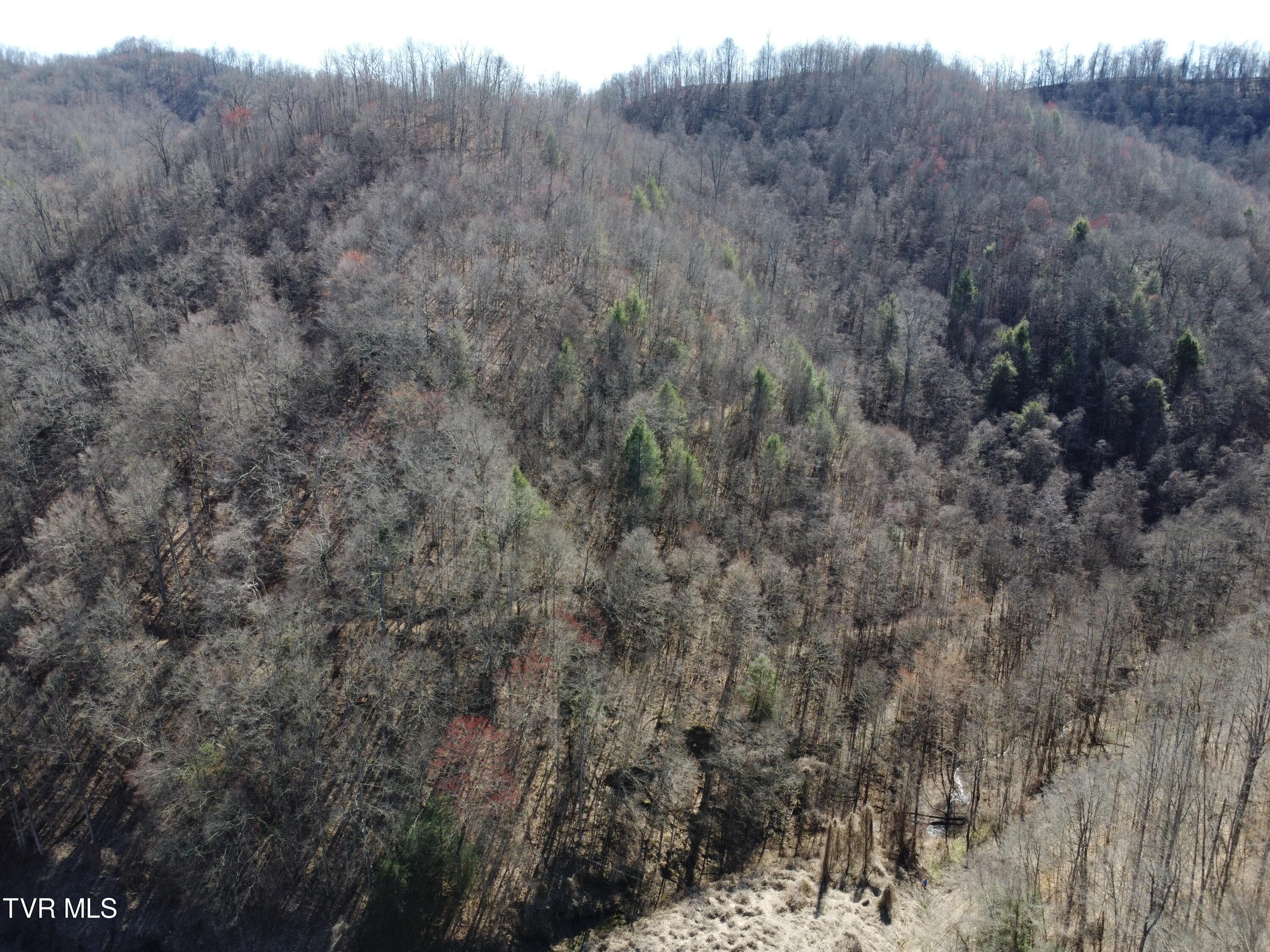 Tbd Bull Run Road Coeburn, VA 24230 - Photo 53 of 57 DJI_0640