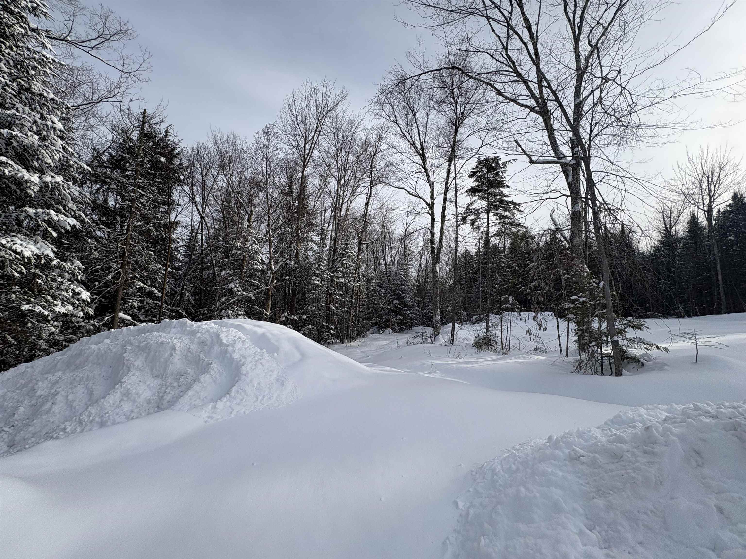 905 Peak Road Wheelock, VT 05851 - Photo 19 of 22