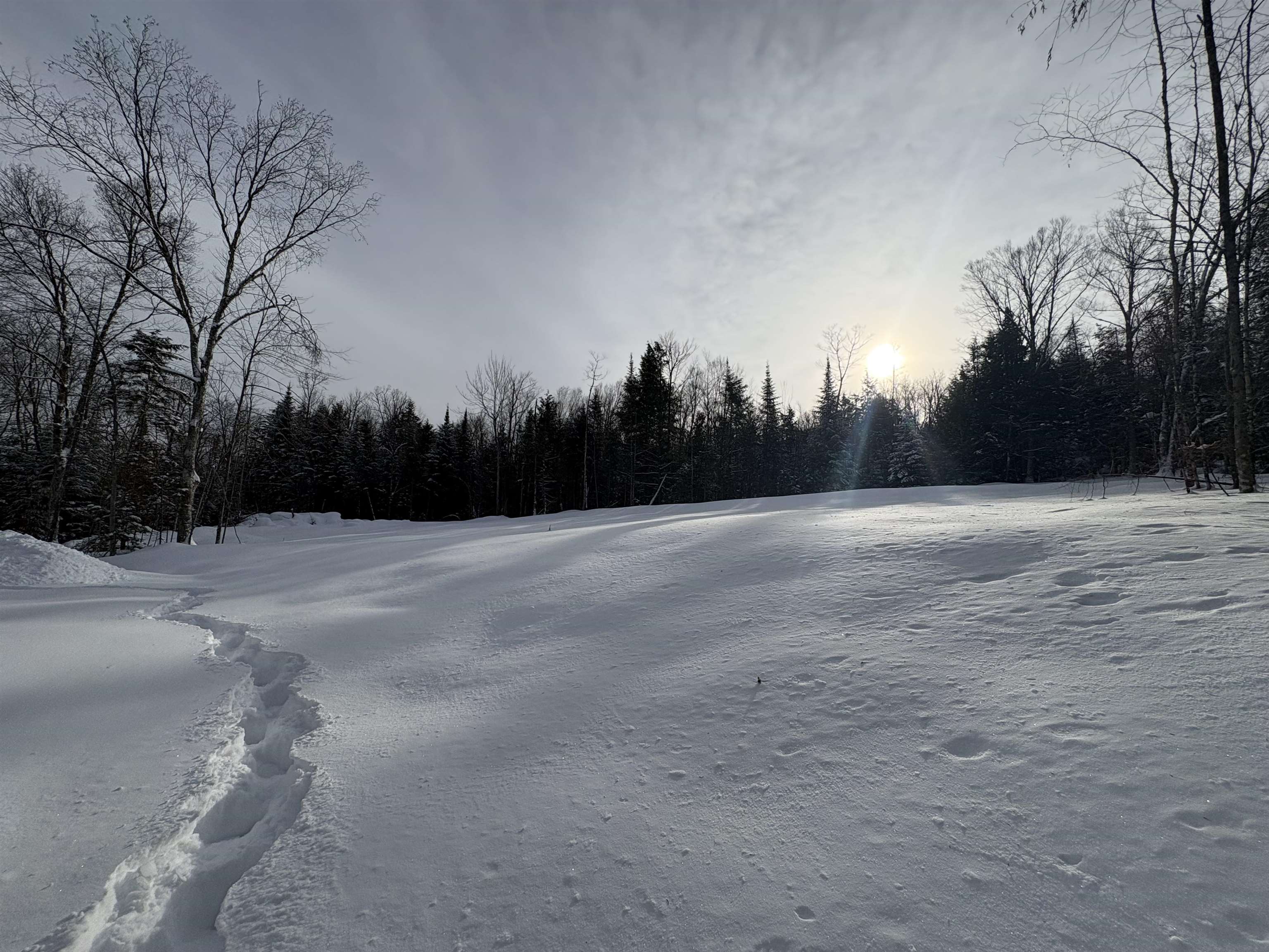 905 Peak Road Wheelock, VT 05851 - Photo 20 of 22