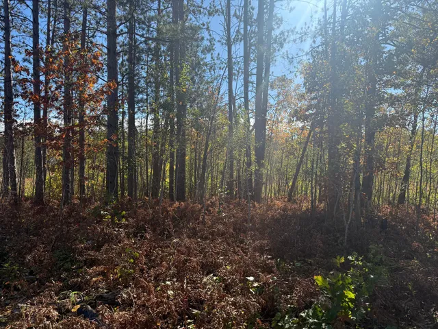 $94,900 | 23 Kerrick Twp Mn 55756, Kerrick, MN 55756