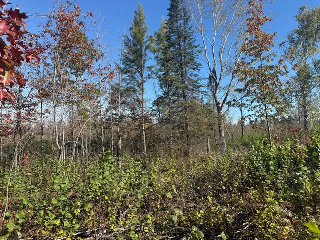 $94,900 | 23 Kerrick Twp Mn 55756, Kerrick, MN 55756