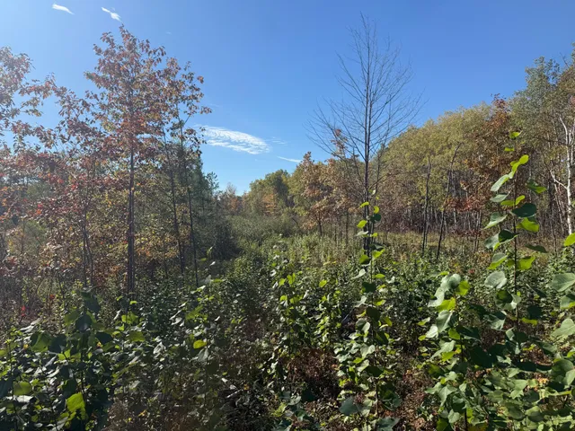 $94,900 | 23 Kerrick Twp Mn 55756, Kerrick, MN 55756