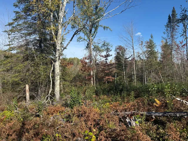 $94,900 | 23 Kerrick Twp Mn 55756, Kerrick, MN 55756