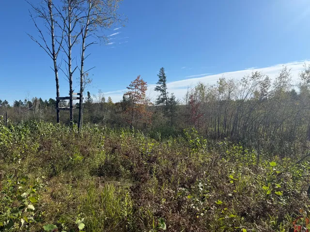 $94,900 | 23 Kerrick Twp Mn 55756, Kerrick, MN 55756