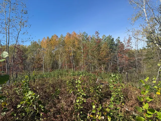 $94,900 | 23 Kerrick Twp Mn 55756, Kerrick, MN 55756