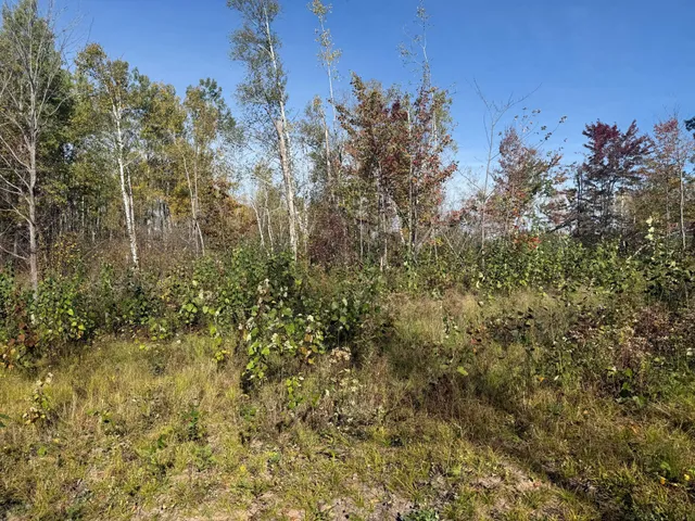 $94,900 | 23 Kerrick Twp Mn 55756, Kerrick, MN 55756