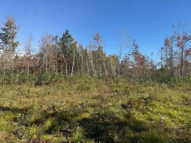 $94,900 | 23 Kerrick Twp Mn 55756, Kerrick, MN 55756