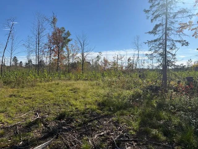 $94,900 | 23 Kerrick Twp Mn 55756, Kerrick, MN 55756