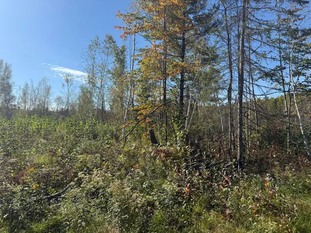 $94,900 | 23 Kerrick Twp Mn 55756, Kerrick, MN 55756