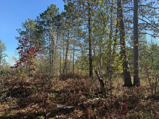 $94,900 | 23 Kerrick Twp Mn 55756, Kerrick, MN 55756