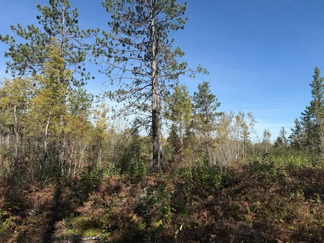 $94,900 | 23 Kerrick Twp Mn 55756, Kerrick, MN 55756