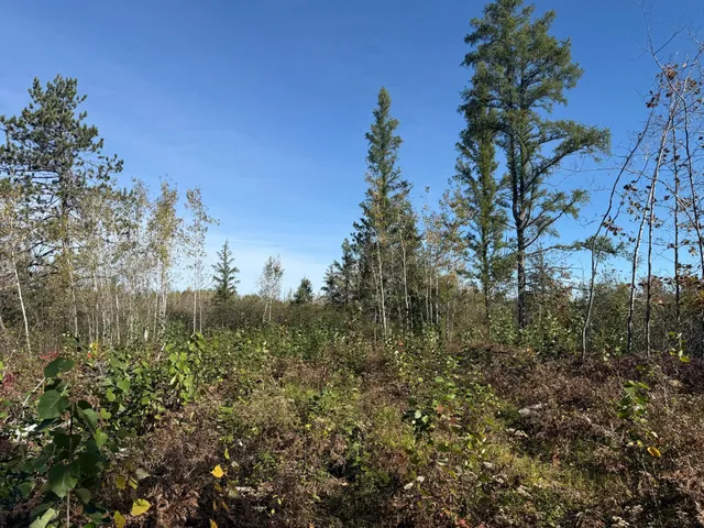 $94,900 | 23 Kerrick Twp Mn 55756, Kerrick, MN 55756