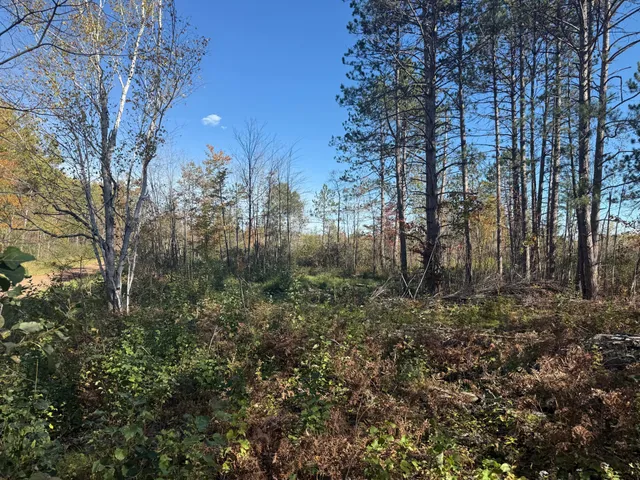 $94,900 | 23 Kerrick Twp Mn 55756, Kerrick, MN 55756