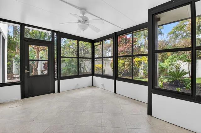 a view of a garden with plants