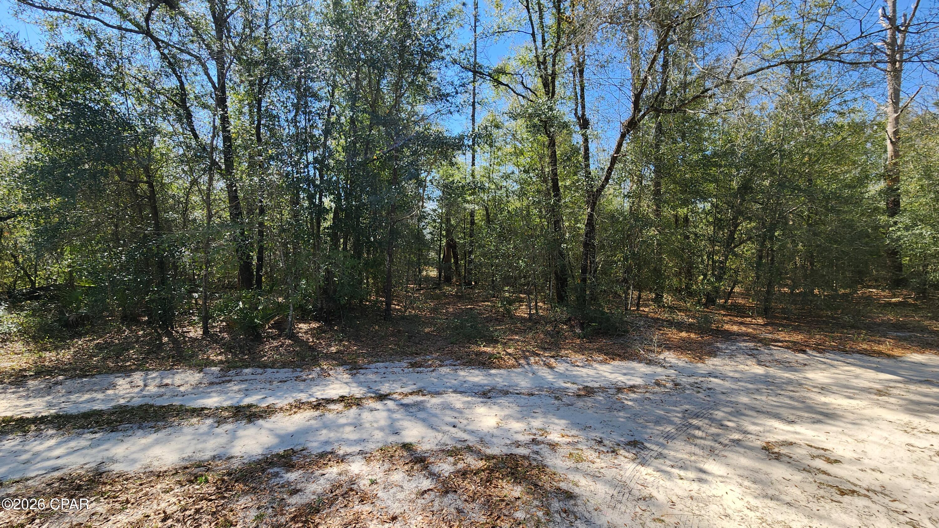 0 Edgewood Road Fountain, FL 32438 - Photo 2 of 10
