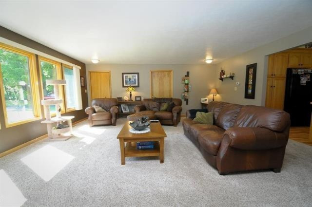 3488 210th Avenue Reed City, MI 49677 - Photo 16 of 41 PBMLS21114901O