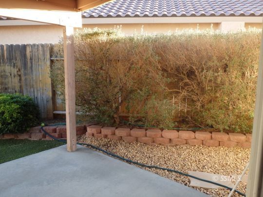 421 Marlene Court Ridgecrest, CA 93555 - Photo 39 of 50 a view of a yard with wooden fence and a bench