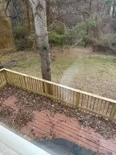 a view of a dry yard