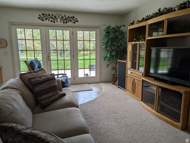 1040 West Mill Road Ferron, UT 84523 - Photo 14 of 117 Built-in entertainment center with wood cabinetry, glass-paned doors, and enclosed shelving