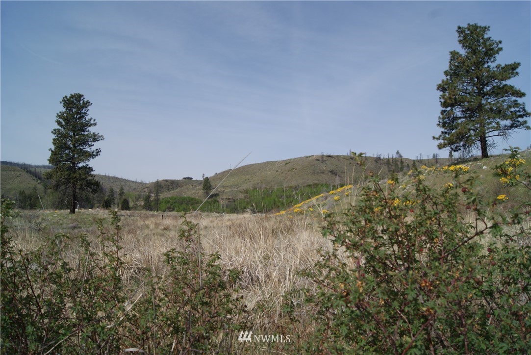 7 High Rock Road Okanogan, WA 98840 - Photo 19 of 40 Gallery Image 19