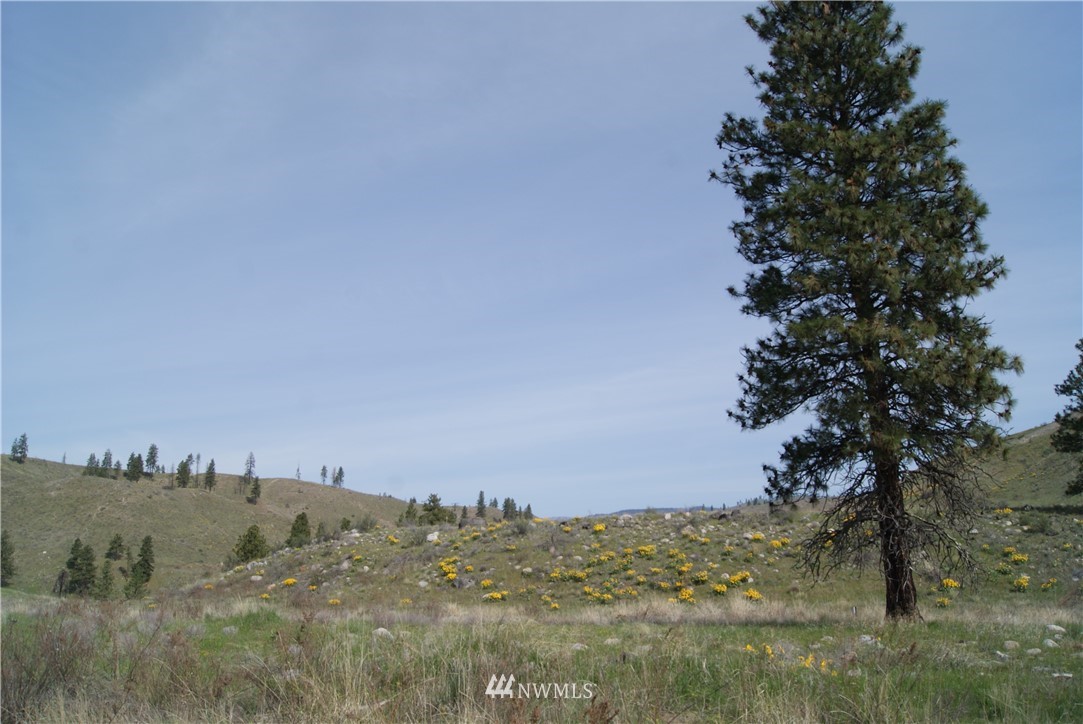 7 High Rock Road Okanogan, WA 98840 - Photo 21 of 40 Gallery Image 21