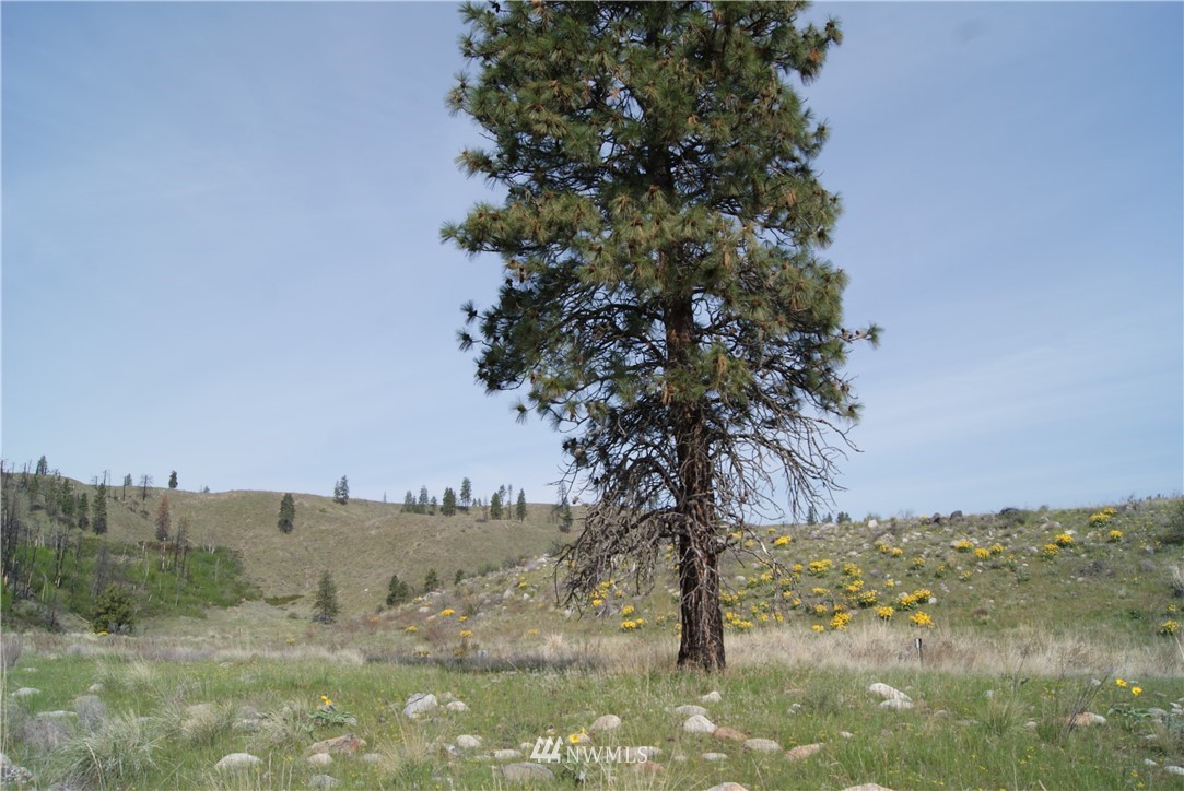7 High Rock Road Okanogan, WA 98840 - Photo 22 of 40 Gallery Image 22
