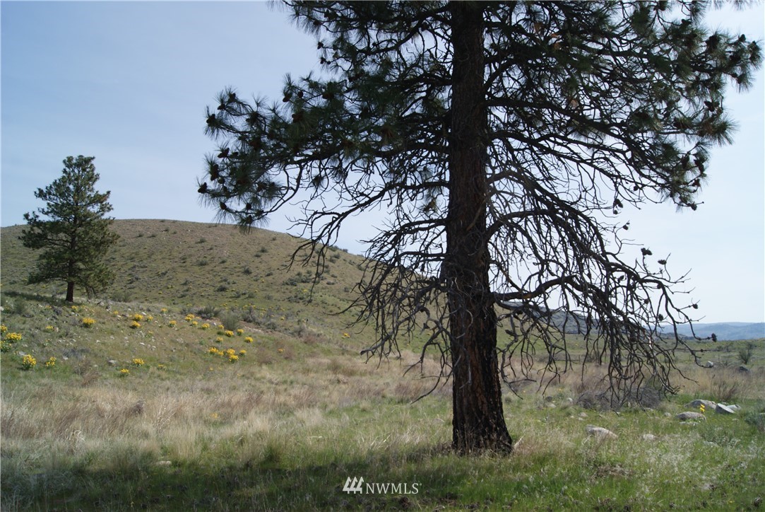 7 High Rock Road Okanogan, WA 98840 - Photo 23 of 40 Gallery Image 23