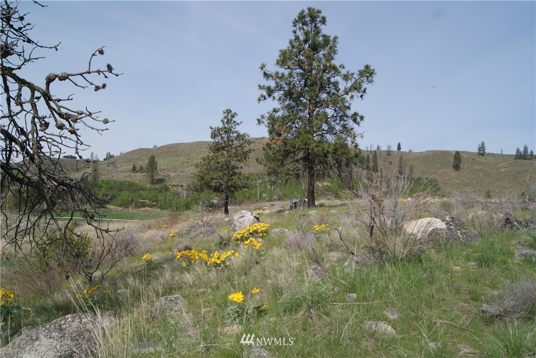 7 High Rock Road Okanogan, WA 98840 - Photo 30 of 40 Gallery Image 30