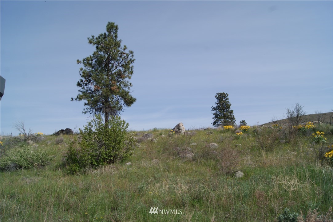7 High Rock Road Okanogan, WA 98840 - Photo 38 of 40 Gallery Image 38