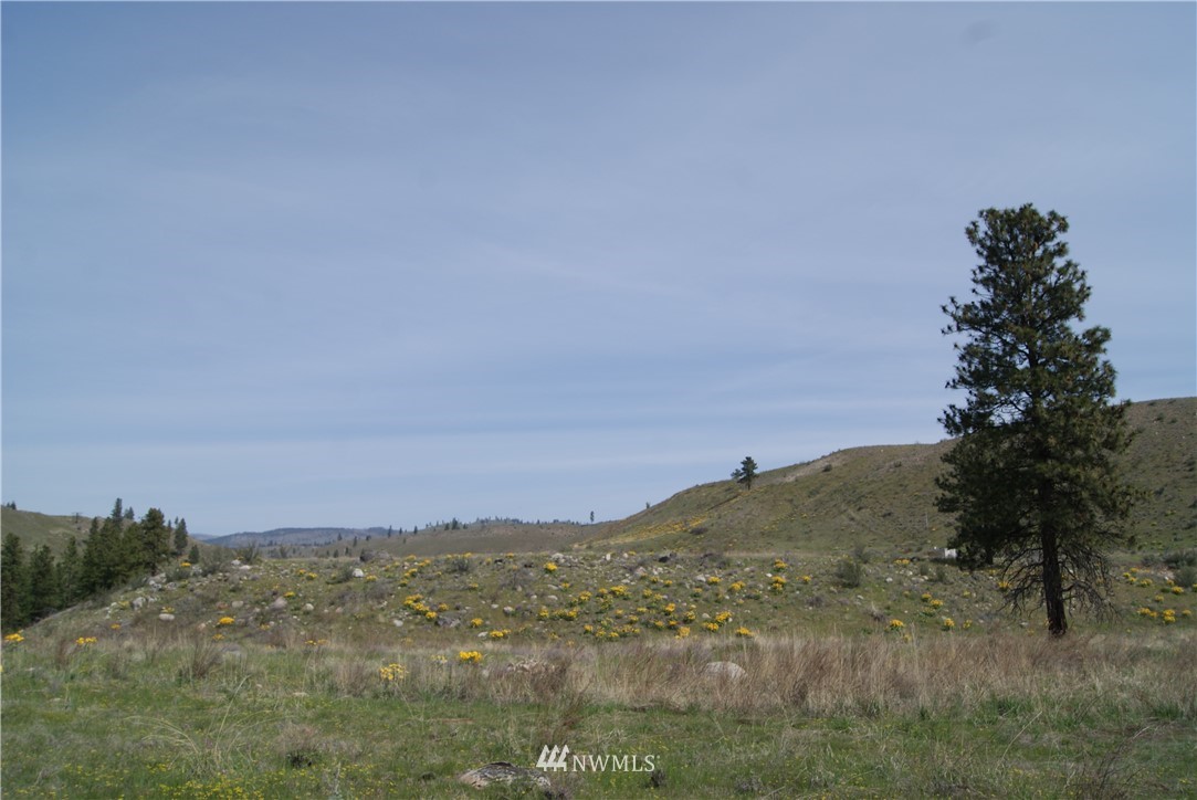 7 High Rock Road Okanogan, WA 98840 - Photo 39 of 40 Gallery Image 39