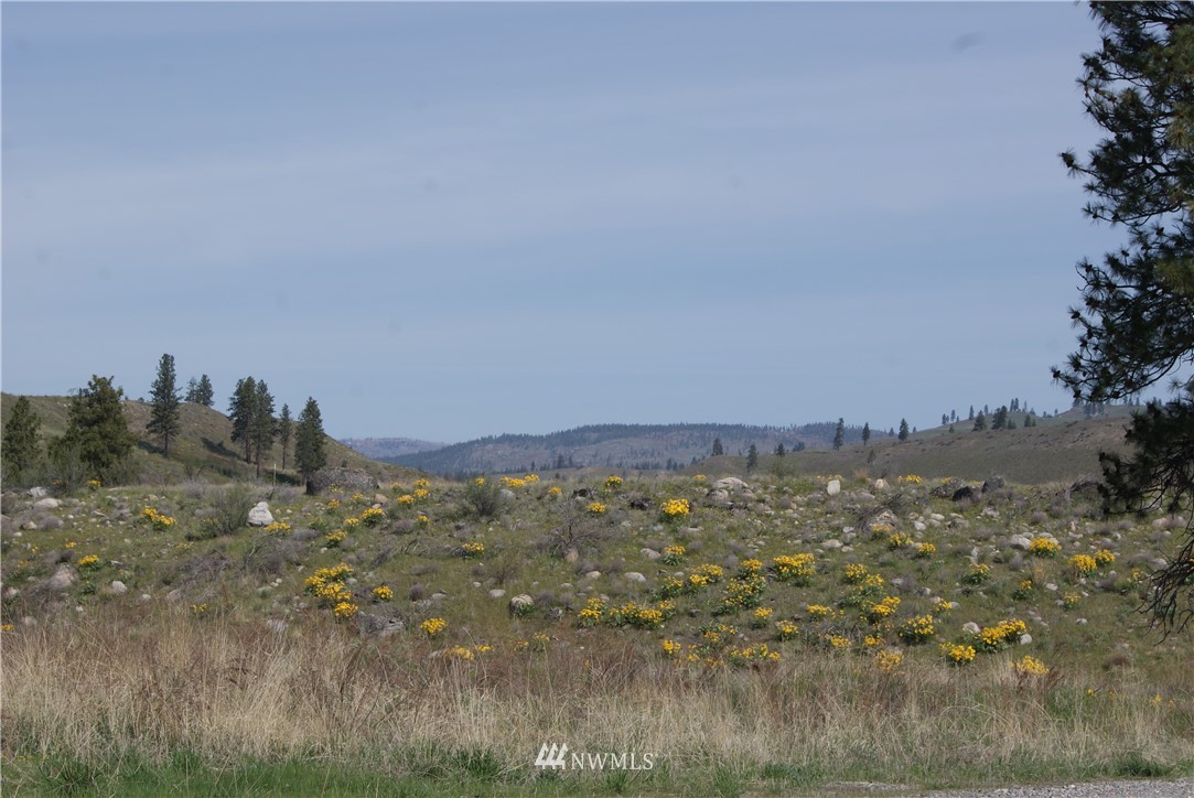 7 High Rock Road Okanogan, WA 98840 - Photo 7 of 40 Gallery Image 7