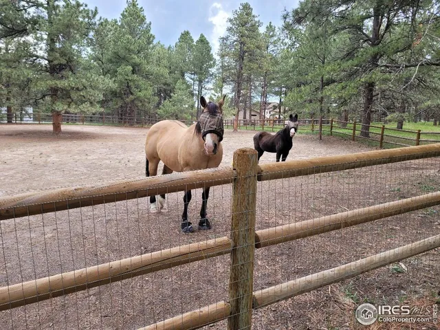 $895,500 | 4673 Pinon Drive, Elizabeth, CO 80107